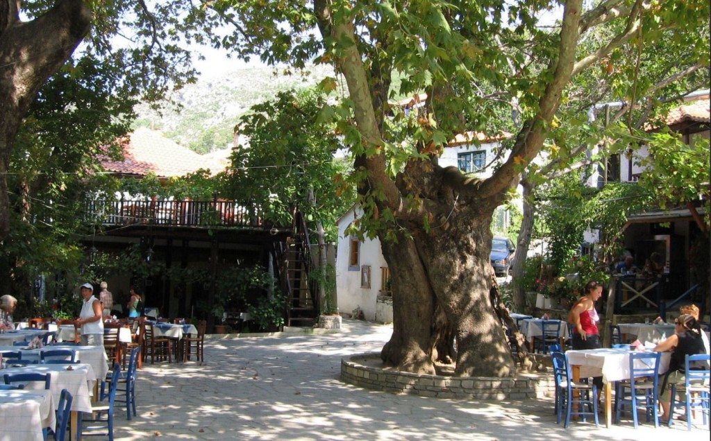 taverne kazaviti thassos